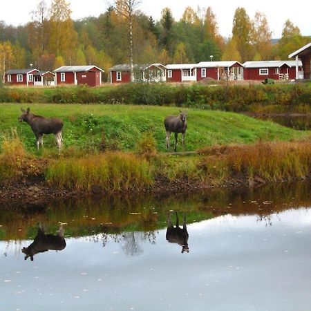 Hotel Klaralvens Camping Stöllet Pokoj fotografie