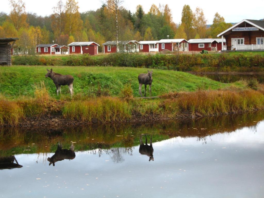 Hotel Klaralvens Camping Stöllet Pokoj fotografie